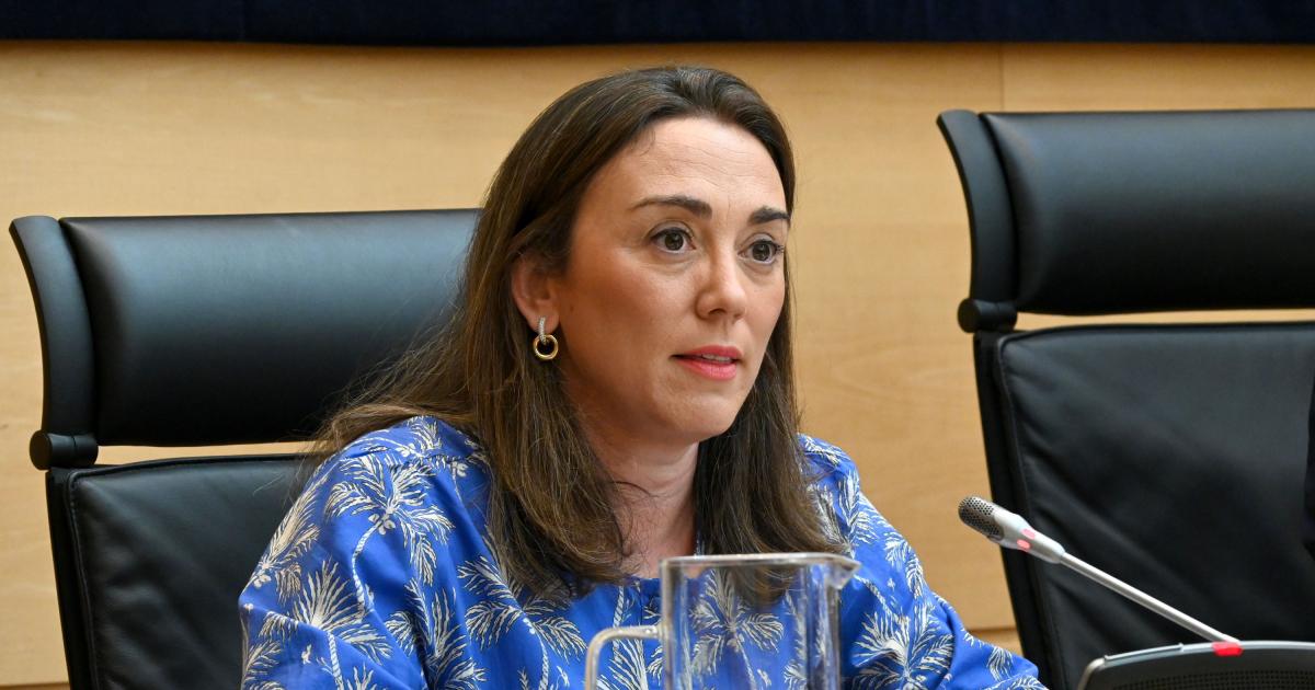 Corral arremete contra el Gobierno en las Cortes de Castilla y León: “Cero transparencia, cero inversiones y cero lealtad institucional” – Diario de Castilla y León